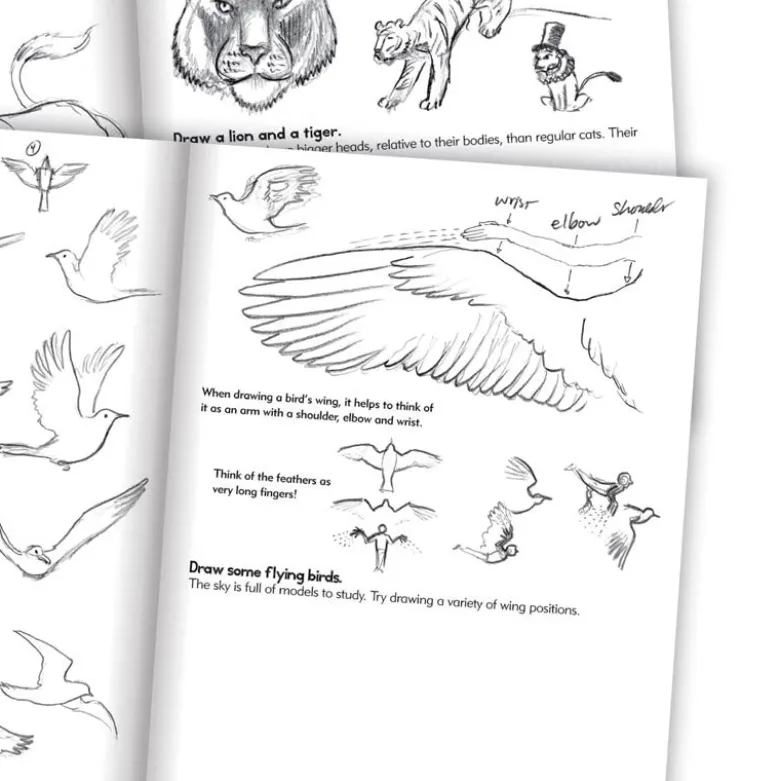 Artbook: Learn to Draw Animals - For Kids Aged 7 and Up