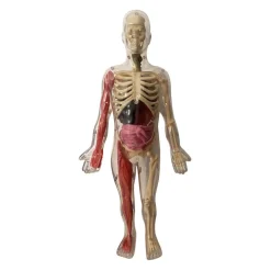 Auzou Activity Box, Exploring the Human Body