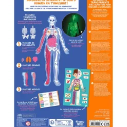 Auzou Activity Box, Exploring the Human Body