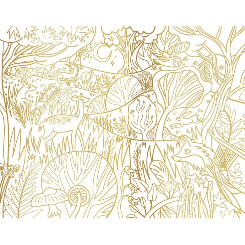 Auzou Coloring Book, Enchanting Designs
