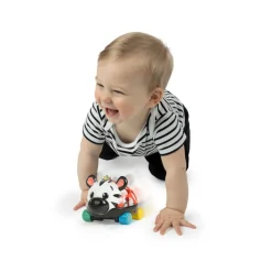 BABY Einstein Baby Toy, Zen Oball Vehicle