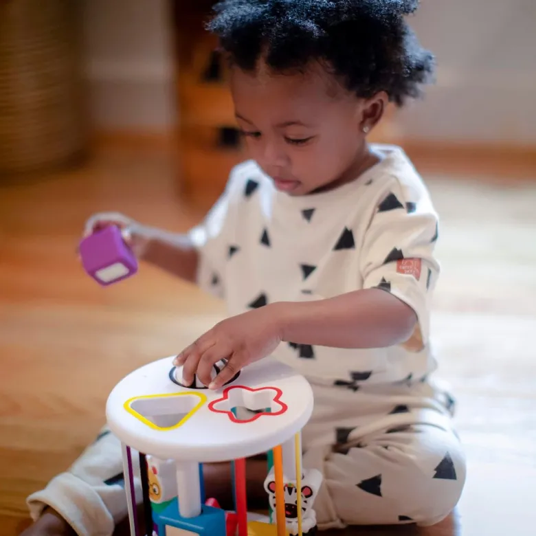 BABY Einstein Zen & Cal's Sensory Shape Sorter Box
