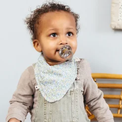 Bibs Liberty, Pack of 2, Natural Rubber Pacifiers, Size 2 - Capel - Blush Mix