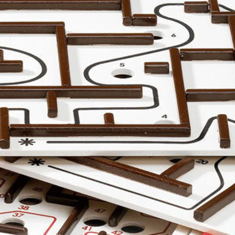 Brio Labyrinth Game