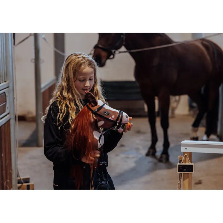 By Astrup Hobby Horse, Coco - Red-brown/white