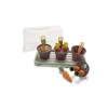 Dantoy Bioplast, Green Garden - Mini Greenhouse Set, 18 Pieces