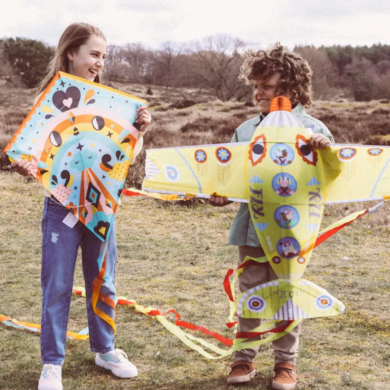 Djeco Kite, Flyer