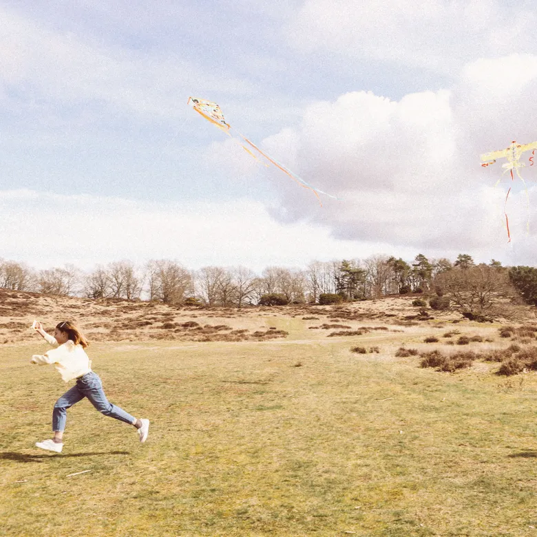Djeco Kite, Flyer