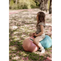 Find that Hippo, Hop Ball – Turkish Rose