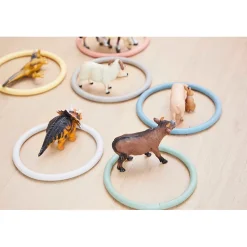 Gonge Activity Rings, Set of 6 - Nordic