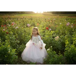 Great Pretenders Dress-Up Costume, Princess Gown in Golden Rose - Size 3-8 Years