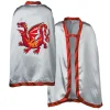 Liontouch Knight's Cap, Amber Dragon