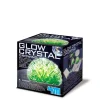 4M Experiment Kit, Glow Crystal Growing