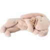 Maileg Sleeping Plush Bunny, Small - Powder