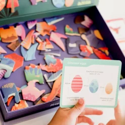 mierEdu, Magnetic Play Set - Dinosaurs