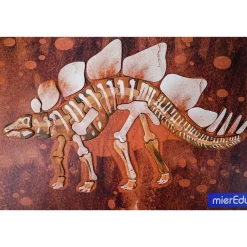mierEdu, Magnetic Playboard/Puzzle - Stegosaurus