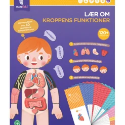mierEdu, Magnetic Playset - Learn About the Body's Functions
