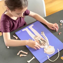 mierEdu, Magnetic Playset - Learn About the Body's Functions