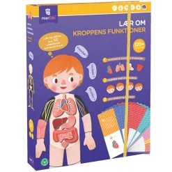 mierEdu, Magnetic Playset - Learn About the Body's Functions
