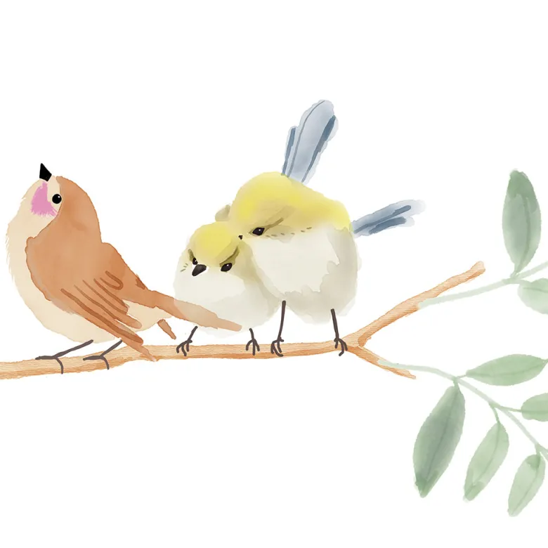 Mimi Lou Wall Sticker Frieze, Birdsong
