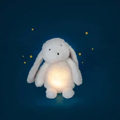Moulin Roty Plush Toy, Glowing Rabbit - Puce & Pilou