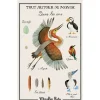 Moulin Roty Poster, All Around the World, In the Air - 50 x 80 cm