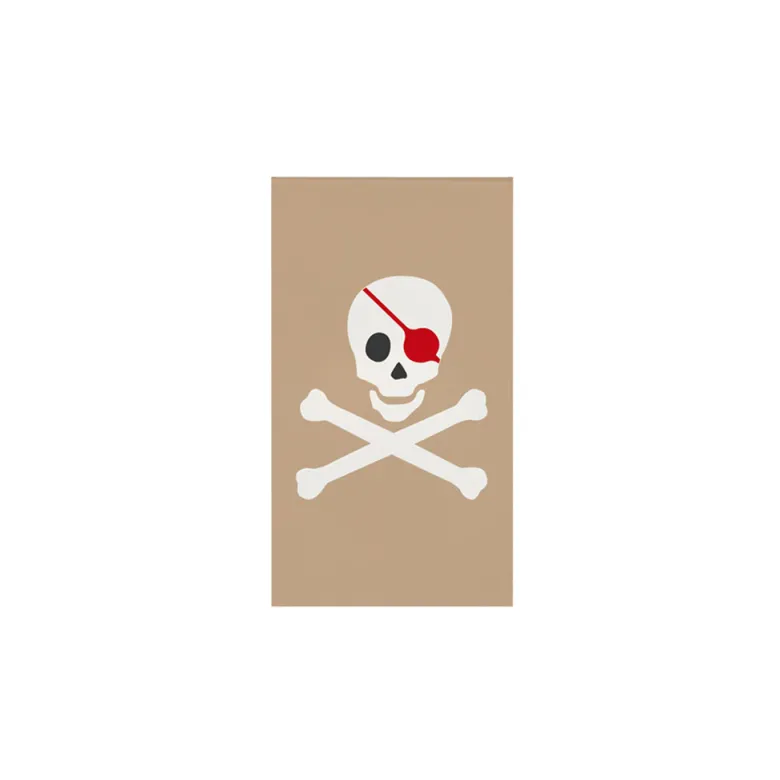 My Little Day Mini Notebook, Pirate
