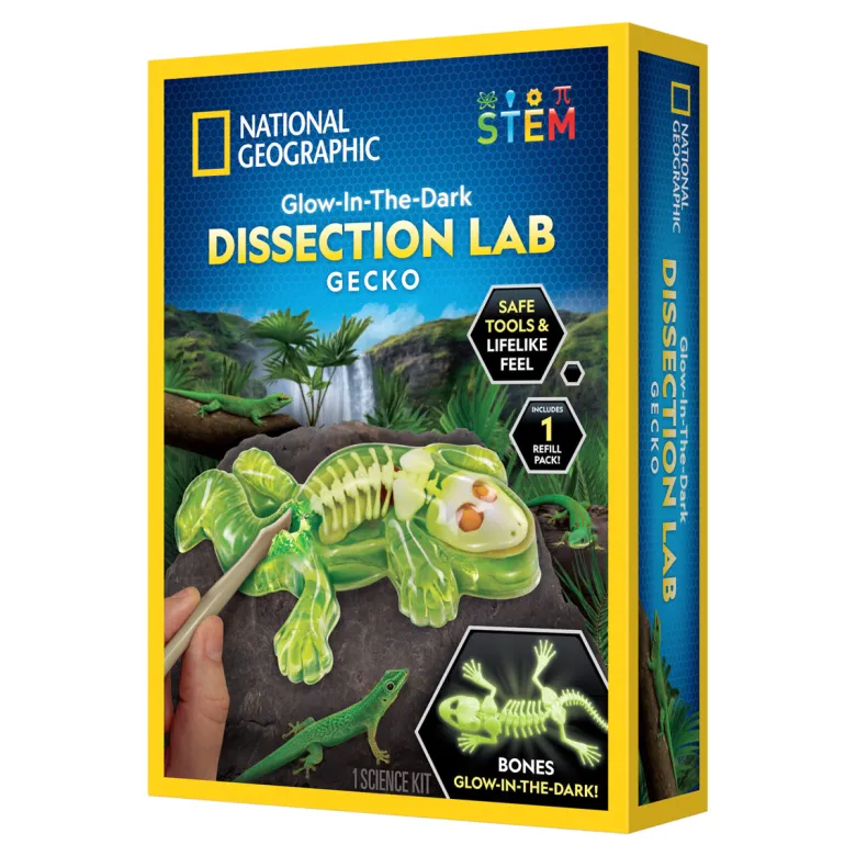 National Geographic, Gecko Dissection - Glow in the Dark