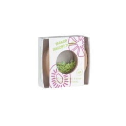 Petit Boum Baby Toy, Sensory Donut Rattle - Kiwis