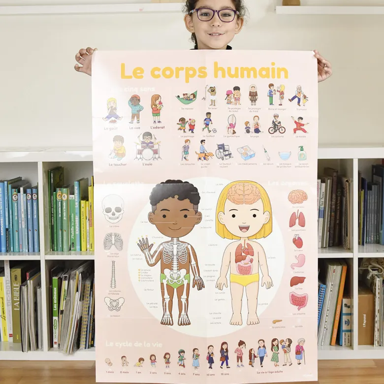 Poppik Paper Sticker Mosaic, Educational Poster with 48 Stickers – The Human Body