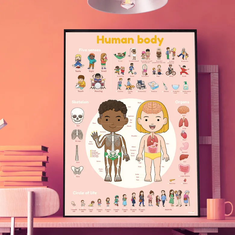 Poppik Paper Sticker Mosaic, Educational Poster with 48 Stickers – The Human Body