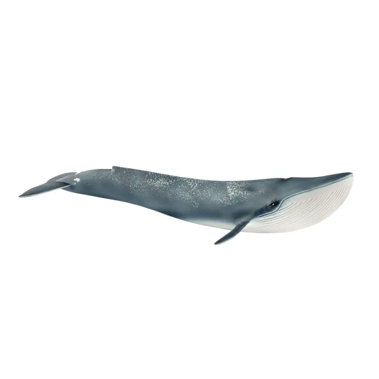 Schleich Blue Whale