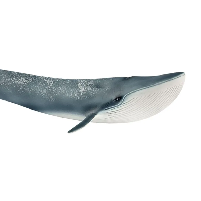Schleich Blue Whale