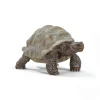 Schleich Giant Tortoise