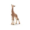 Schleich Giraffe Calf