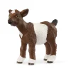 Schleich Little Goat Kid