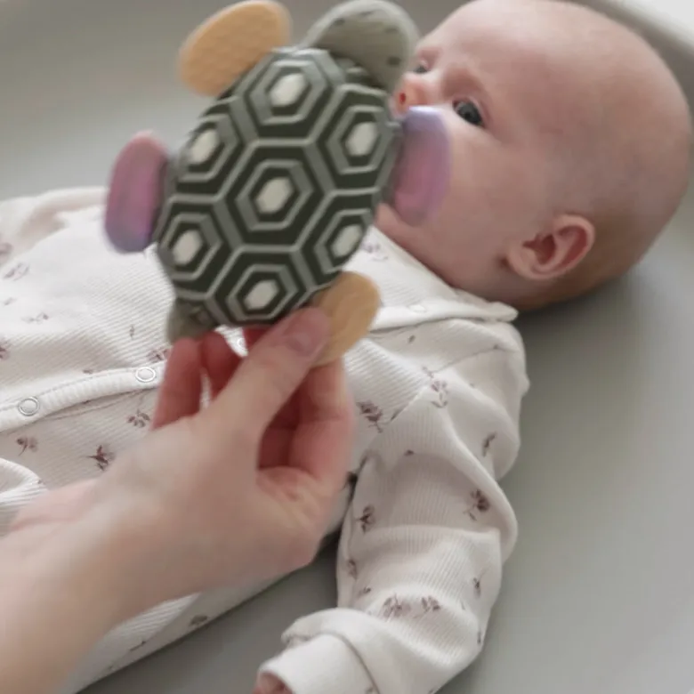 Sebra Activity Rattle with Mirror, Turbo the Turtle