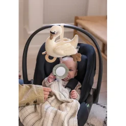 Sebra Activity Toy, Swan