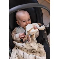 Sebra Activity Toy, Swan