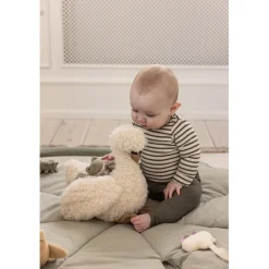 Sebra Activity Toy, Swan