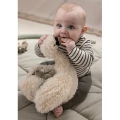 Sebra Activity Toy, Swan
