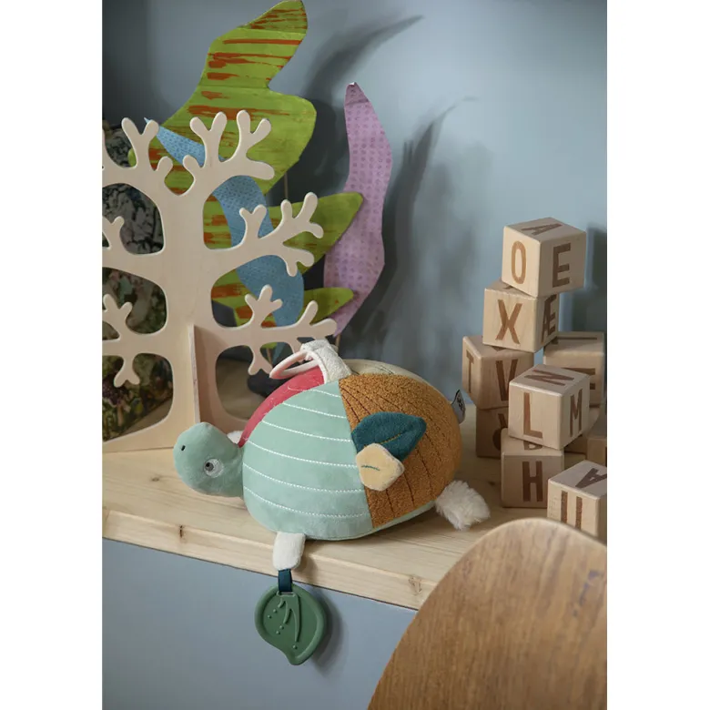 Sebra Activity Toy, Turbo the Turtle