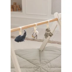 Sebra Activity Toys, Set of 3: Frog, Bee, and Snail