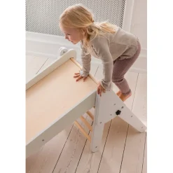 Sebra 2-in-1 Reversible Climbing and Slide Ramp (without climbing triangle with steps)