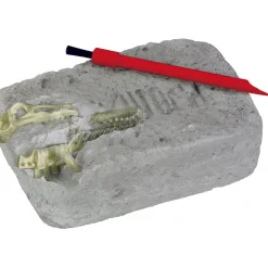 Spiegelburg Excavation Kit - T-Rex