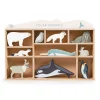 Tender Leaf, Wooden Animals in Box - 10 Arctic Animals
