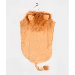 The Good Fairy Animal Costume, Lion Cape - Sizes 1-4 Years