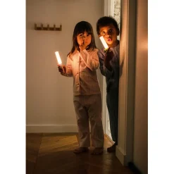 The ZooFamily, Zoo Light, Flashlight - Unicorn