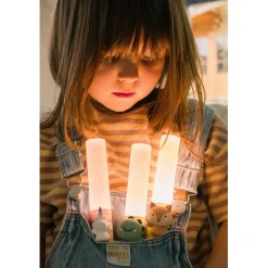 The ZooFamily, Zoo Light, Flashlight – Fox