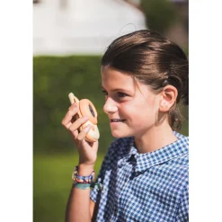 The ZooFamily, Zoo Walkie Talkie for Kids, Ages 3 and Up - Dino Pink and Green